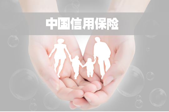 中國信用保險都有什麽(me) 作用？插圖
