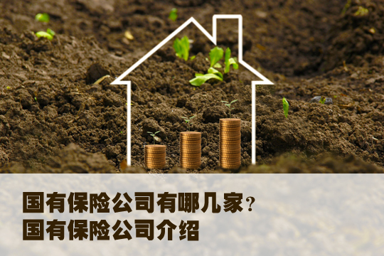 國有保險公司有哪幾家？插圖