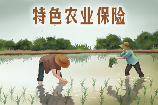 特殊農(nong) 業(ye) 保險、特殊風險保險包括什麽(me) ？插圖2