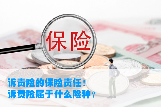 訴責險是什麽(me) ？訴責險是什麽(me) 樣的保險？插圖