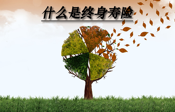 什麽(me) 是終身壽險？有什麽(me) 優(you) 缺點？誰適合買(mai) ？插圖