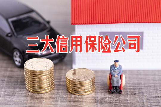 中國和世界三大信用保險公司中哪三家？插圖