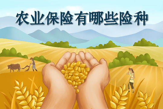 農(nong) 業(ye) 保險有哪些險種？插圖