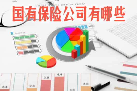 有哪些國有保險公司？插圖