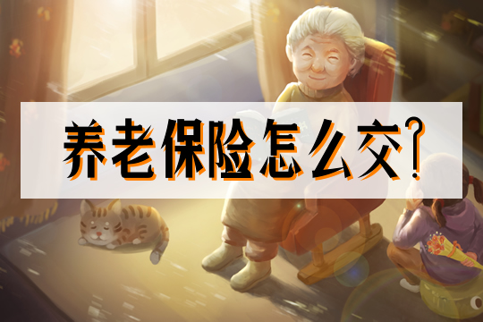 如何繳納養(yang) 老保險插圖