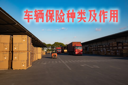 車輛保險種類插圖