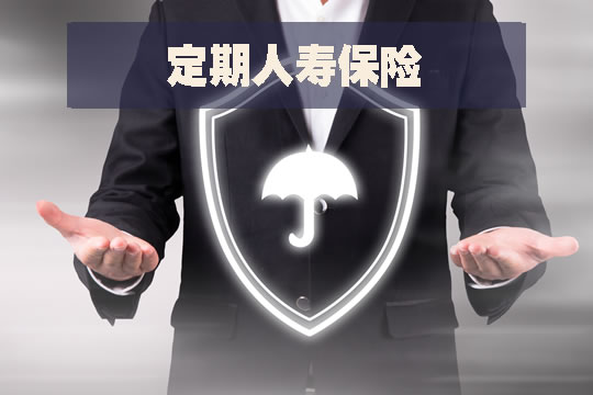 定期人壽保險有哪些？插圖