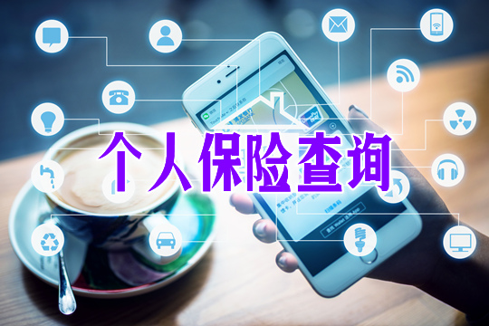 個(ge) 人保險查詢怎麽(me) 查?插圖