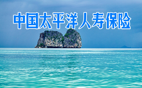 中國太平洋人壽保險介紹插圖