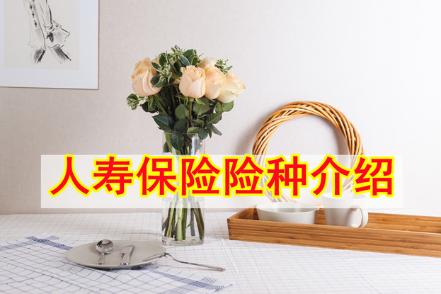 人壽保險包括哪些險種？人壽保險介紹插圖