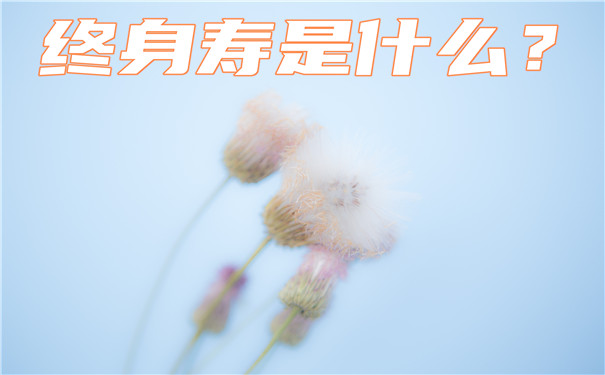 什麽(me) 是終身壽？一年多少錢？插圖