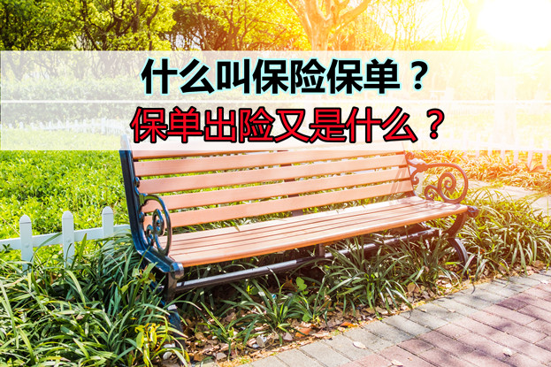 什麽(me) 是保險單？保單出險是什麽(me) 意思？插圖