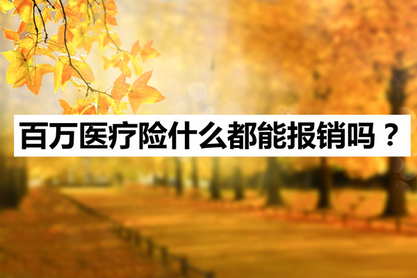 <strong>剛買(mai) 了百萬(wan) 醫療保險能退嗎？百萬(wan) 醫療險一切都可以報銷嗎？</strong>插圖