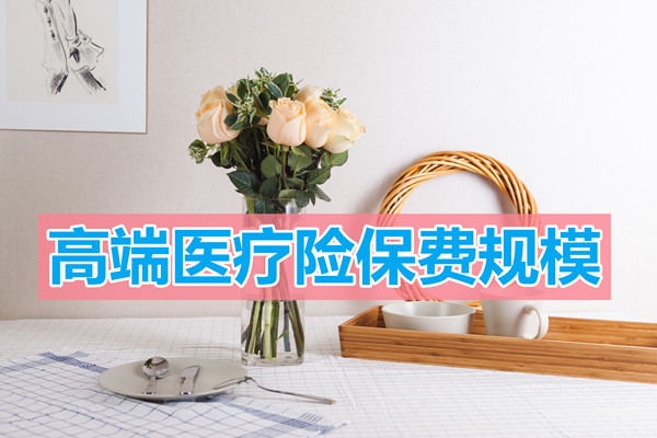 高端醫療保險保費收入，高端醫療保險保費規模插圖