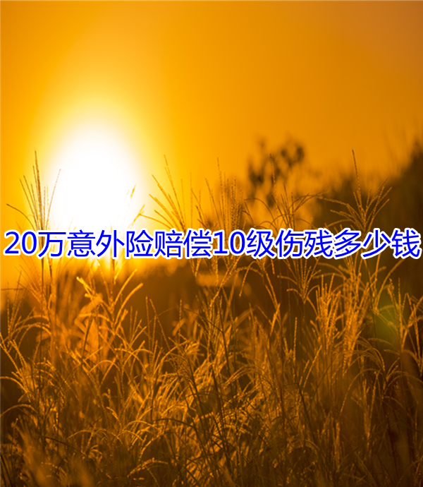 20萬(wan) 意外險的保費是多少？20萬(wan) 意外險賠償(chang) 10級殘疾多少錢？插圖4