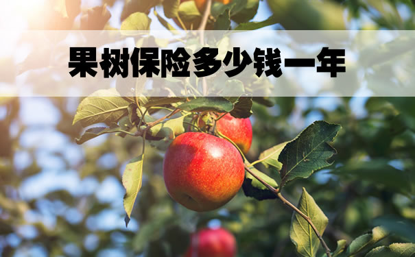 果樹保險一年多少錢？如何理賠果樹保險？具體(ti) 分為(wei) 什麽(me) ？插圖