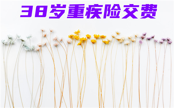 38歲大病保險交費，38歲大病保險交費是20年還是30年？插圖