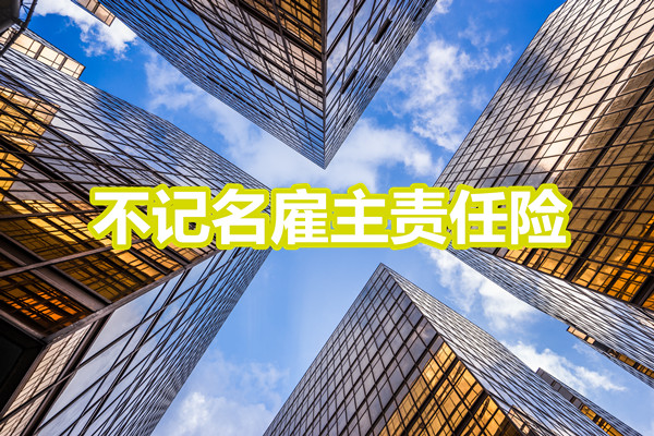 不記名雇主責任險，不記名雇主責任險是什麽(me) 意思插圖