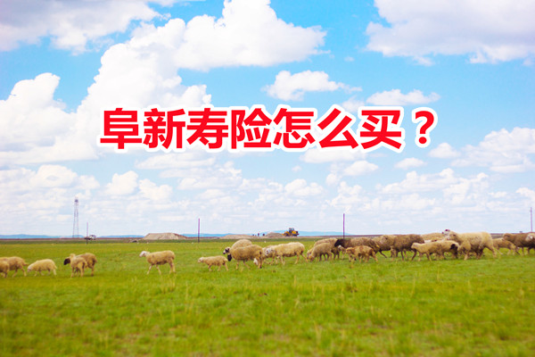 如何購買(mai) 阜新人壽險插圖