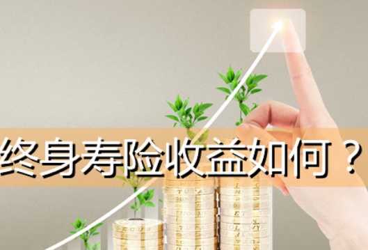 臻愛金生增額終身壽險怎麽買插圖