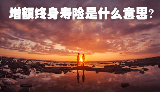 橫琴傳世一號增額終身壽險陷阱有哪些？如何避免？插圖