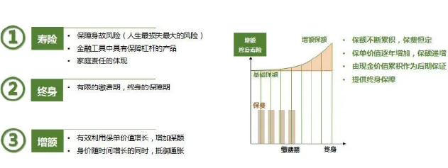 金福人生增額終身壽險返還嗎，能返現嗎？插圖
