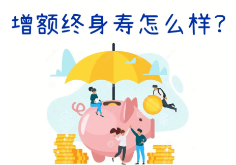 大紅包增額終身壽險怎麽樣要了解投保規則插圖