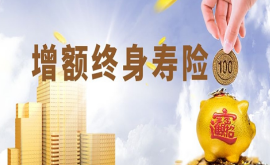 保額增加的終身壽險怎麽選？有哪些？插圖