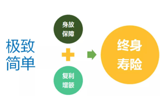 鑫越人生增額終身壽險如何買更劃算？插圖