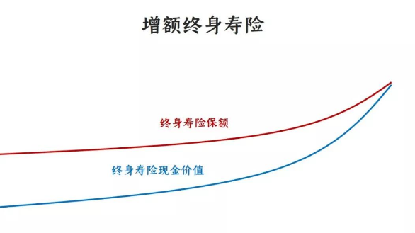 一款保額會長大的增額終身壽險你值得擁有插圖