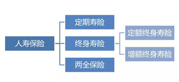 增額性終身壽險最大百分幾？每年都會持續上漲嗎？插圖