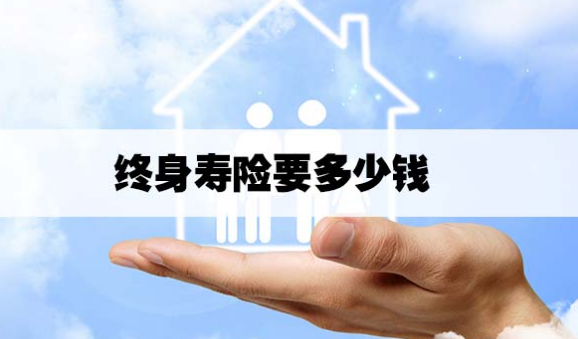 哪些保險公司有增額終身壽險？可以去哪裏找？插圖