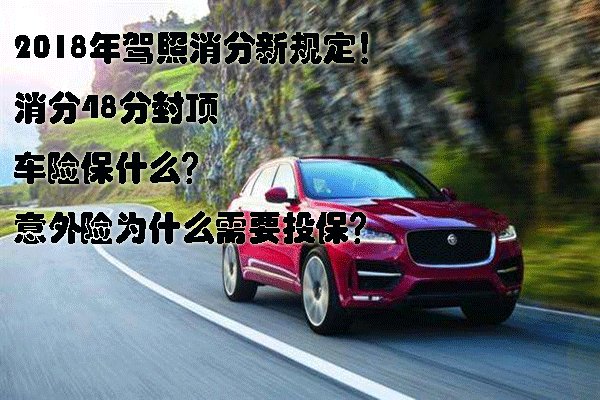 駕照消分新規定，分可代銷保險卻不行插圖