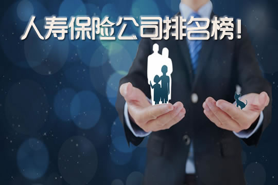 十大人壽保險公司有哪些？插圖