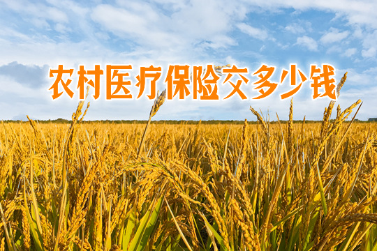 什麽(me) 是農(nong) 村醫療保險？農(nong) 村醫療保險的報銷範圍是多少？插圖4