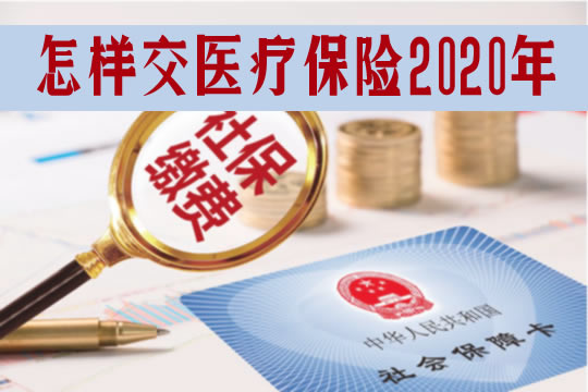 如何繳納個(ge) 人醫療保險？你付了什麽(me) 保險？插圖