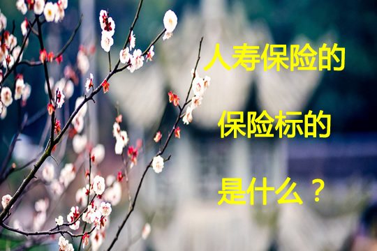 人壽保險的目標是什麽(me) ？人壽保險可以分為(wei) 哪些類型？插圖