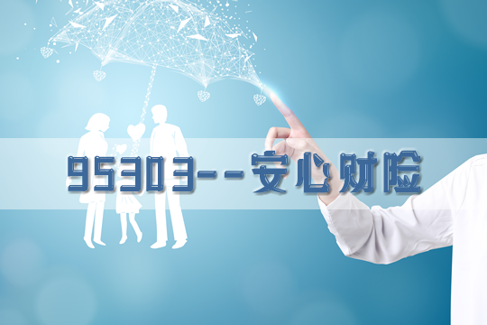 95303是哪家保險公司？插圖
