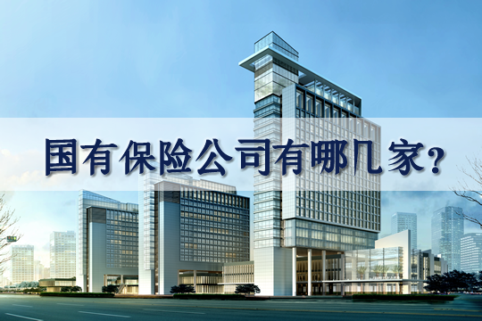 國家保險公司有哪些？什麽(me) 是國有保險公司？插圖1