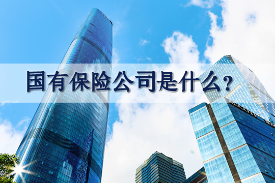 國家保險公司有哪些？什麽(me) 是國有保險公司？插圖