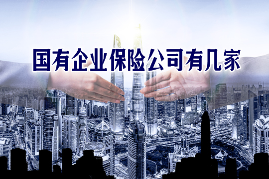 全國有多少保險公司？有多少家國有企業(ye) 保險公司？插圖