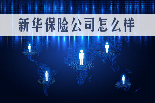 新華保險公司的全稱是什麽(me) ？新華保險網上保單查詢插圖