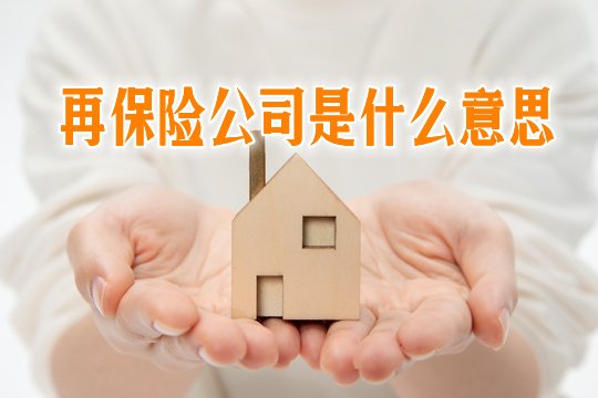 再保險公司是什麽(me) 意思？再保險公司有哪些業(ye) 務類型？插圖