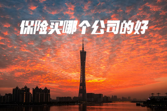 保險買(mai) 哪個(ge) 公司的好？挑選保險公司有哪些原則？插圖