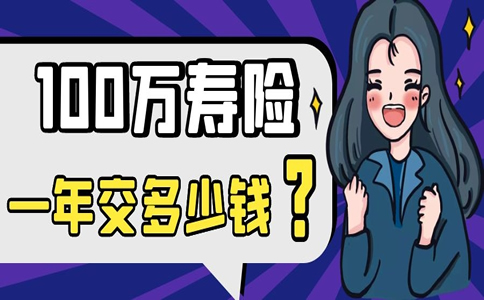 一年100萬(wan) 人壽險多少錢？插圖