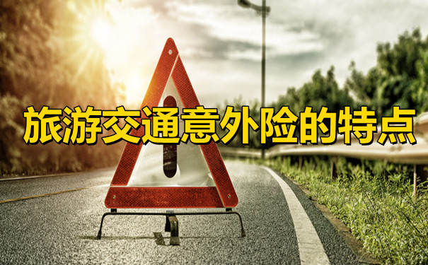 旅遊交通意外險有哪些特點？旅遊交通意外險的特點？插圖