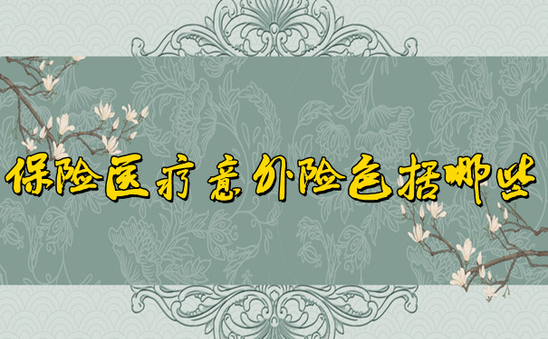 保險醫療意外險包括什麽(me) ？保險醫療意外險插圖