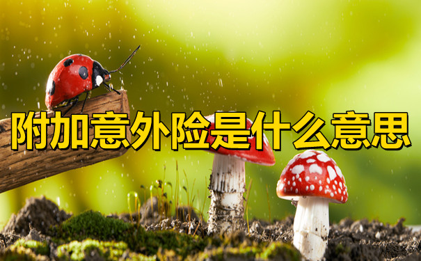 附加意外險是什麽(me) 意思？什麽(me) 是附加意外險？插圖
