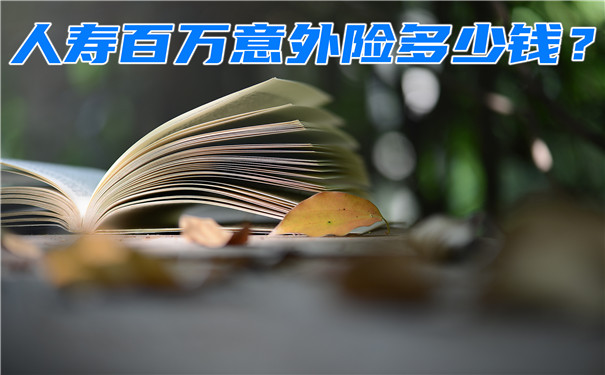 人壽百萬(wan) 意外險多少錢？人壽百萬(wan) 意外險怎麽(me) 樣？插圖