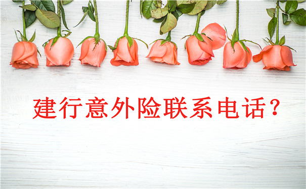建行意外險聯係電話插圖